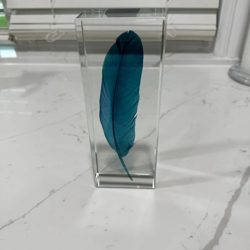 WUHE Crystal Clear Feather Bookend Stopper